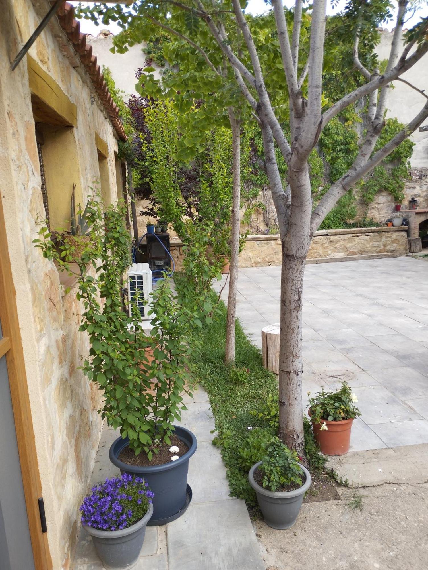 Casa Rural El Olivo Puigmoreno Kültér fotó